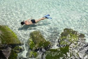 Snorkelers swimming over rock jetties in clear emerald water at St Andrews State Park in Panama City Beach