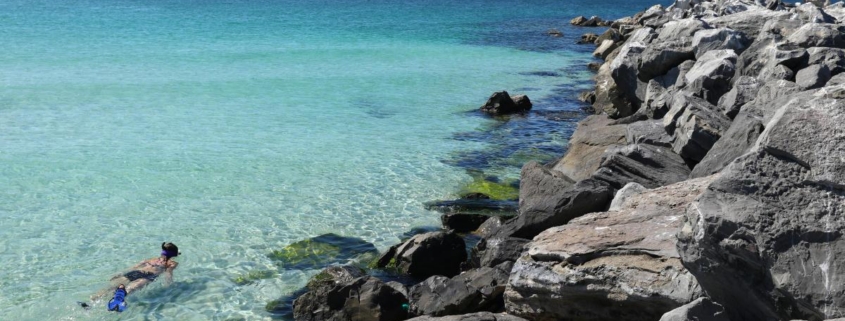 Snorkelers exploring the rock jetties in clear emerald water at St Andrews State Park in Panama City Beach